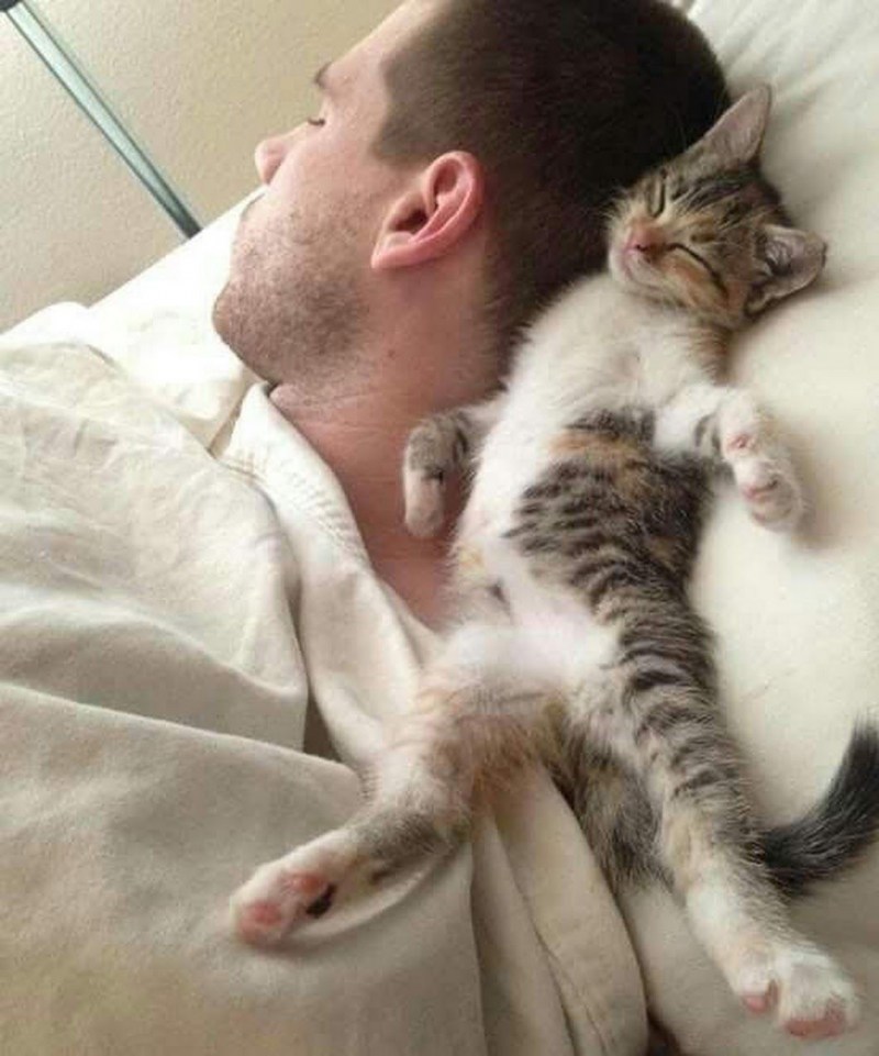 Спящий парень и кот