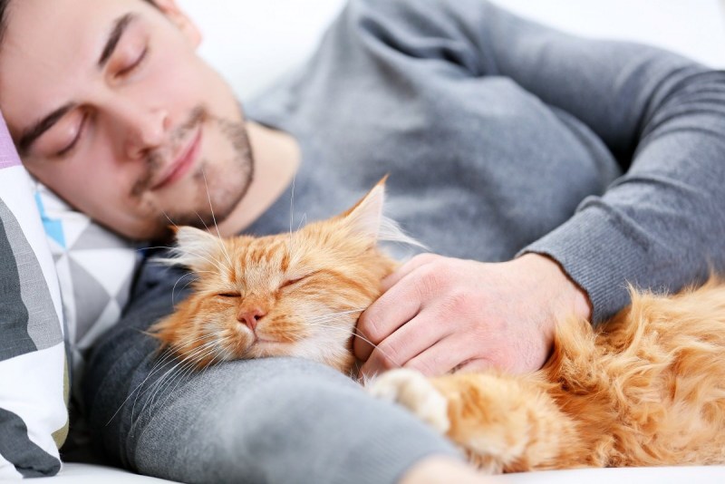 Парень спит с котом