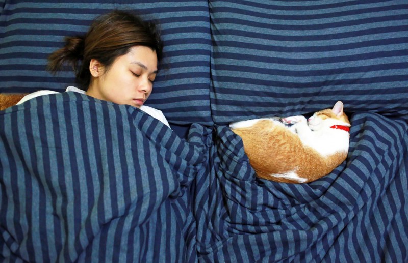 Кот рядом с кроватью