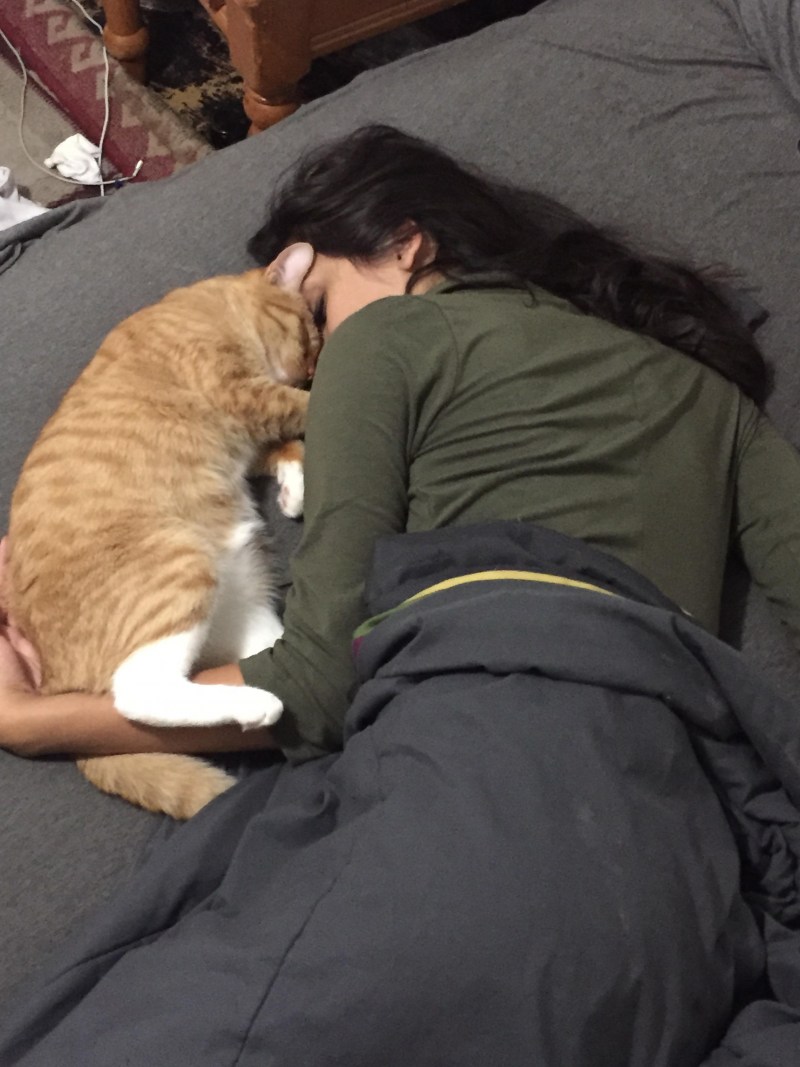 Спать с котом в обнимку