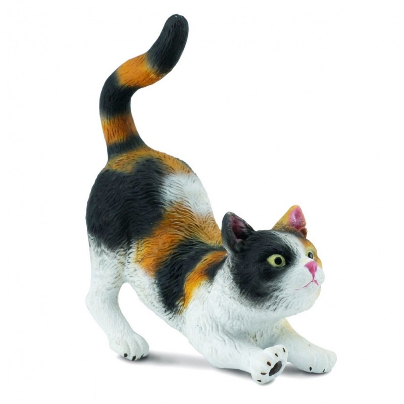 Коты Воители шляйх