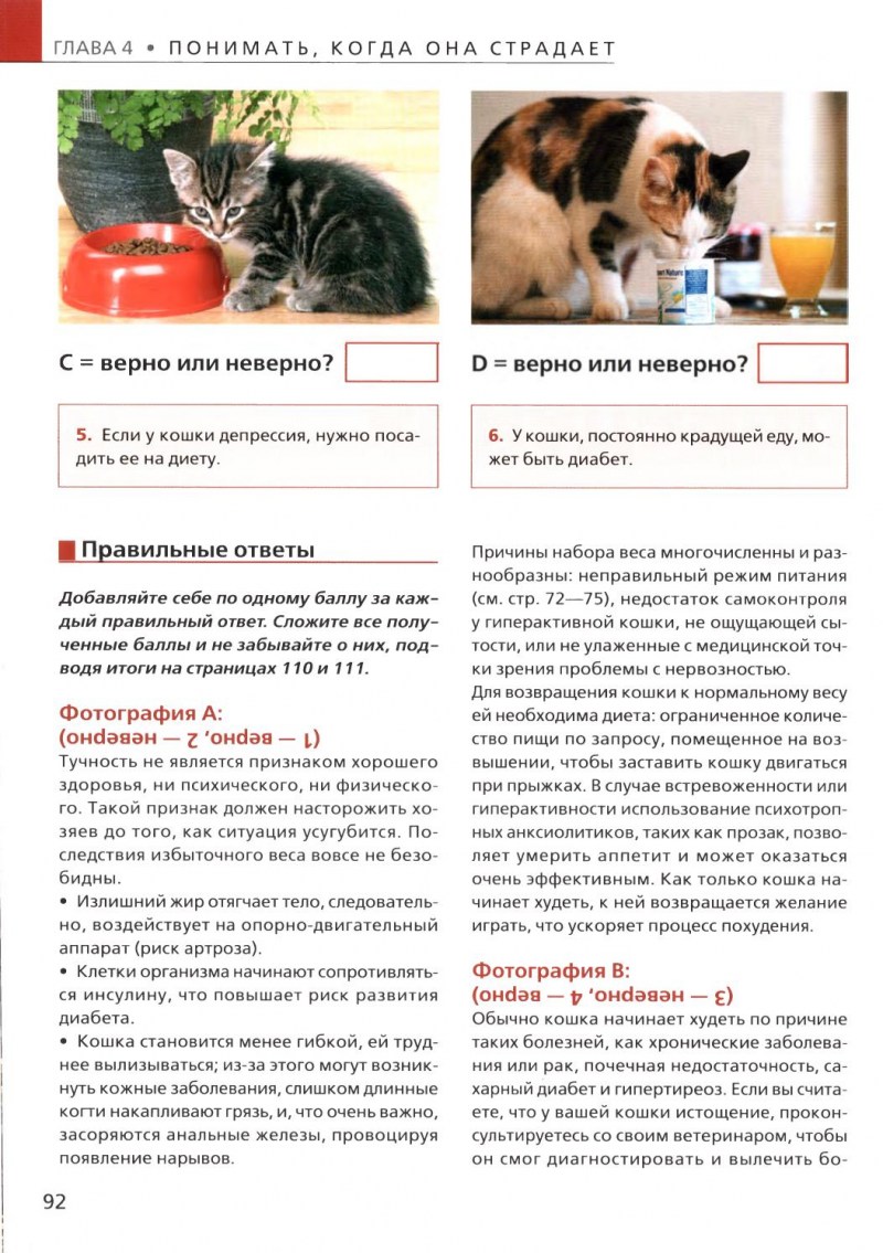 Исследование кошачьего мяуканья
