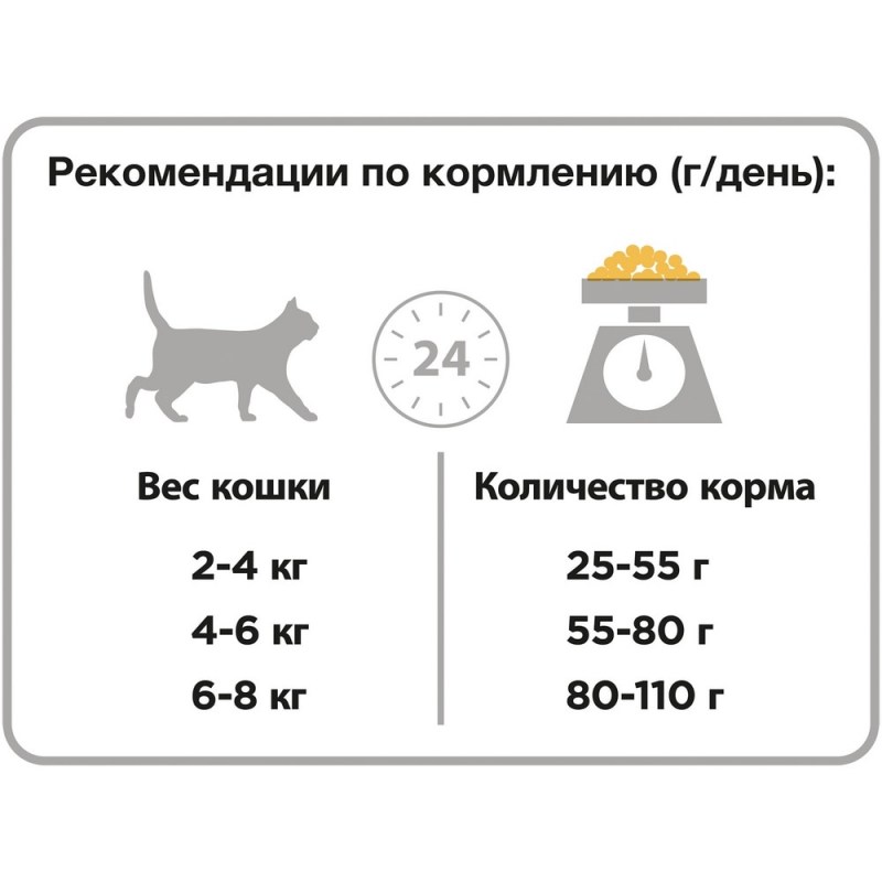 График питания кошки