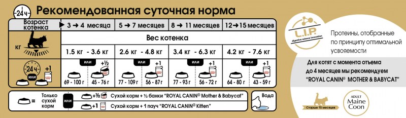 Питание для котят