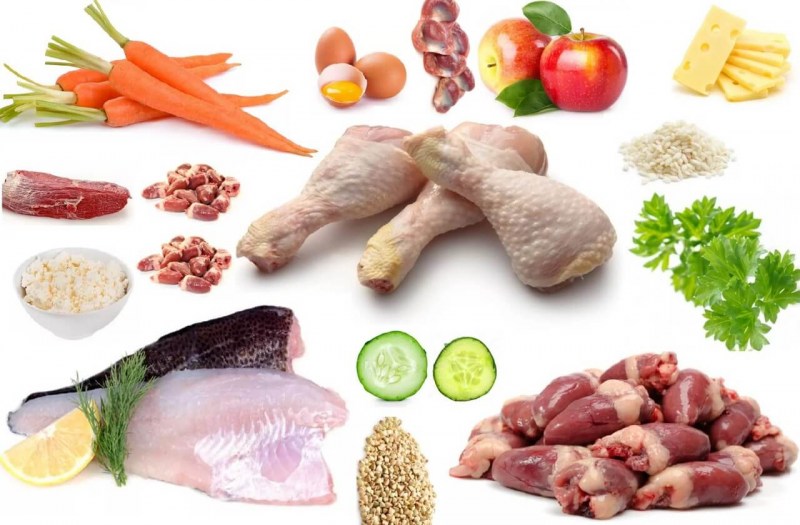 Продукты питания для кошки