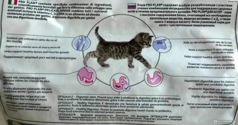 Purina Pro Plan для котят норма кормления