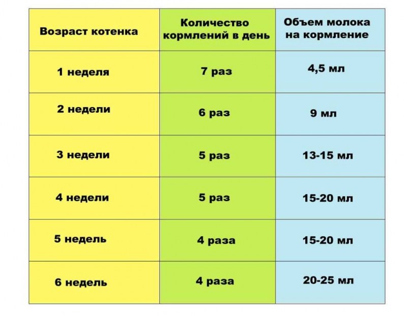 Нормы кормления вискас