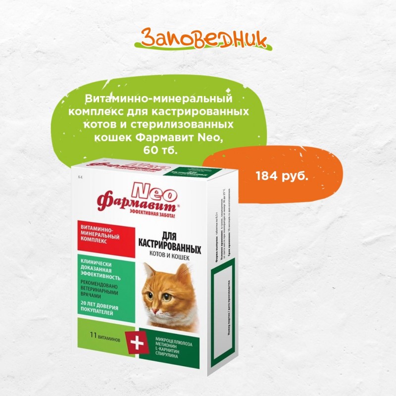 Какие овощи можно кошкам