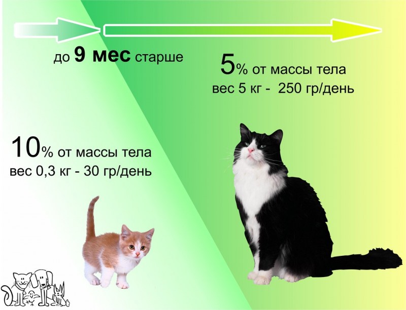 Mealfeel корм для кошек