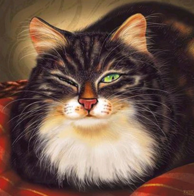 Кот хитрюга