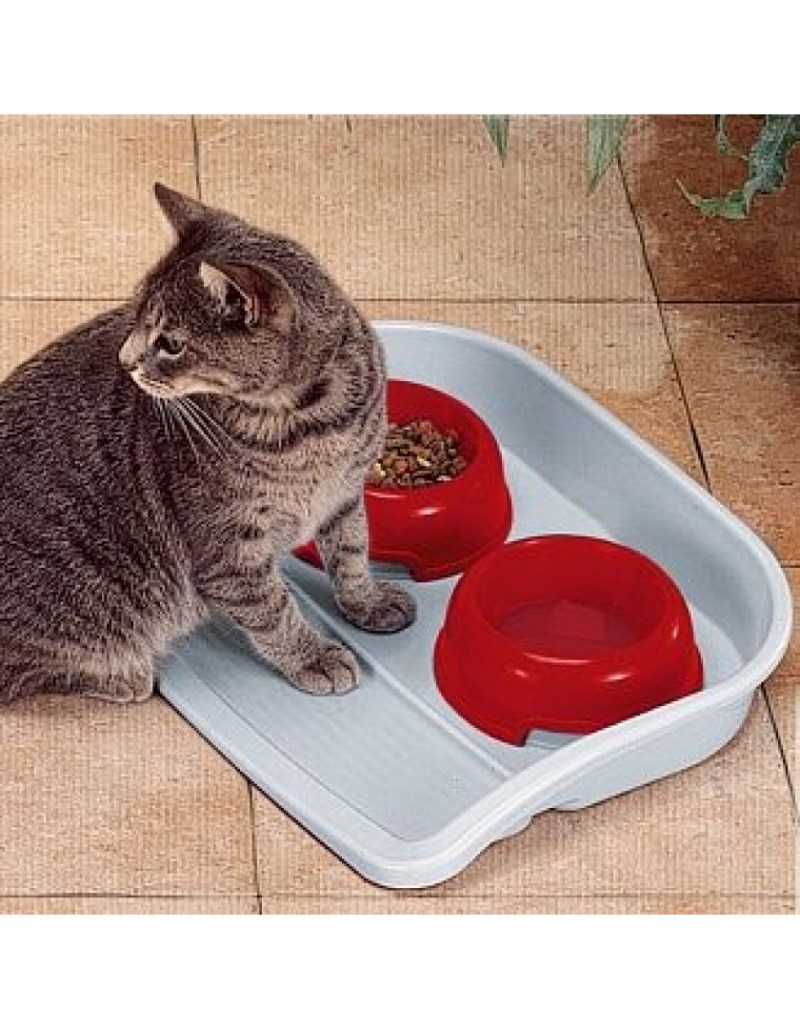 Кошки и котята на лотке