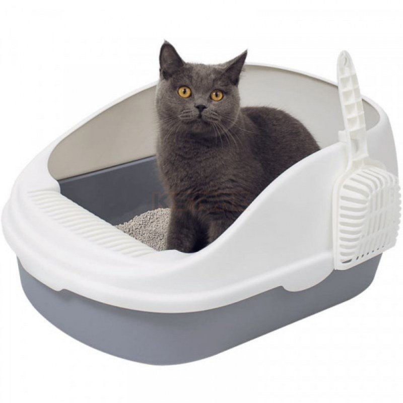 Лоток для кота