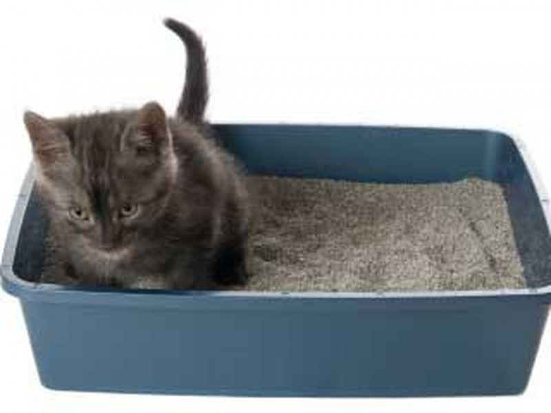 Лоток для кошек Xiaomi Semi-open Cat Litter White