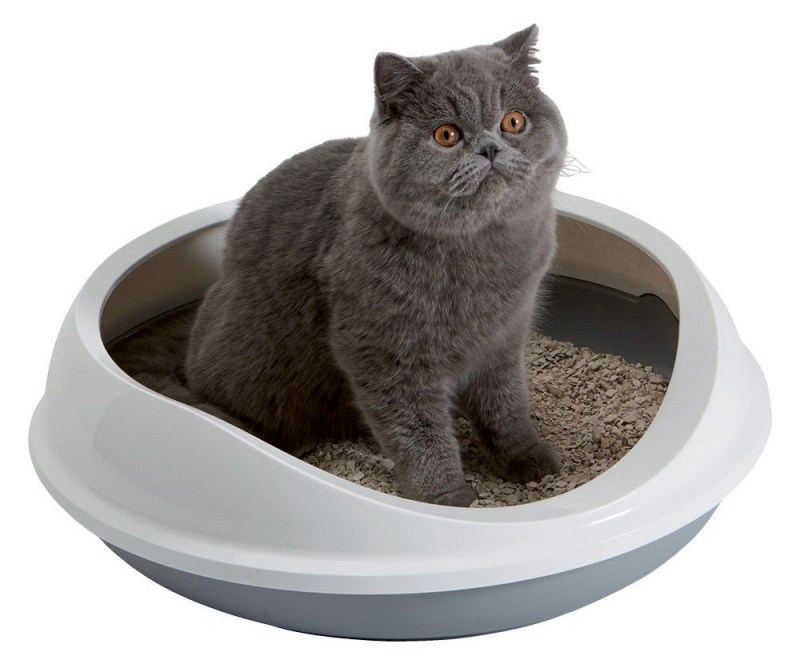 Dr.Elseys Cat attract