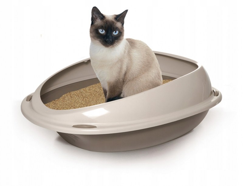 Приучить котенка к лотку