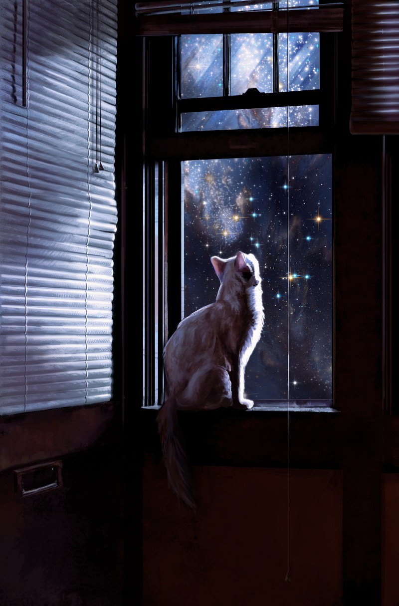 Кот сидит на окне
