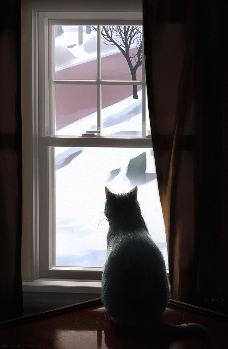 Котенок у окна
