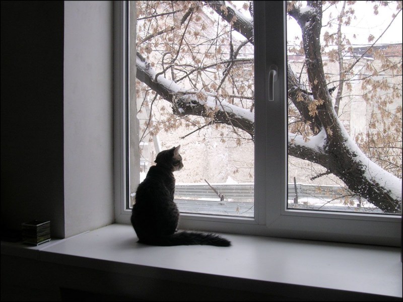 Зима за окном