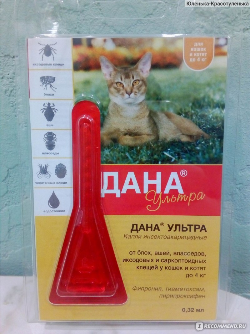 Доктор вет Академгородок