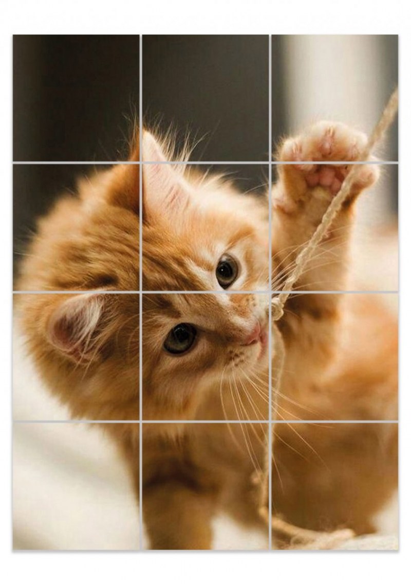 Рыжий котёнок