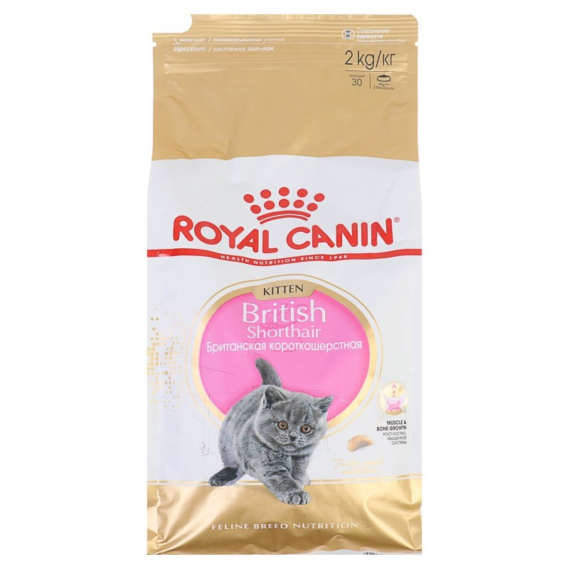 Royal Canin Maine Coon