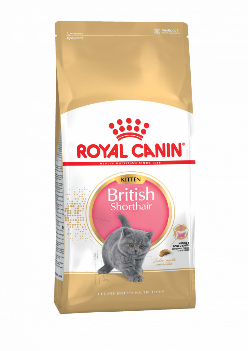 Royal Canin British Shorthair 85