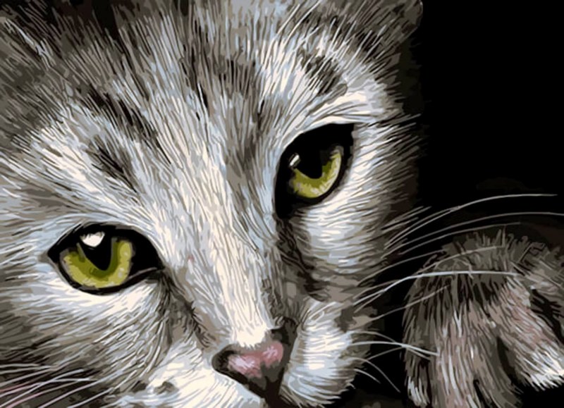 Алмазная мозаика кошачий взгляд