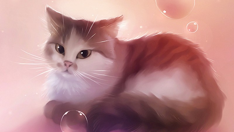 Рихард Донскис котики