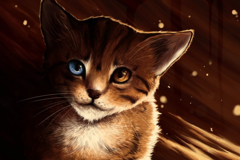 Красивая кошка арт