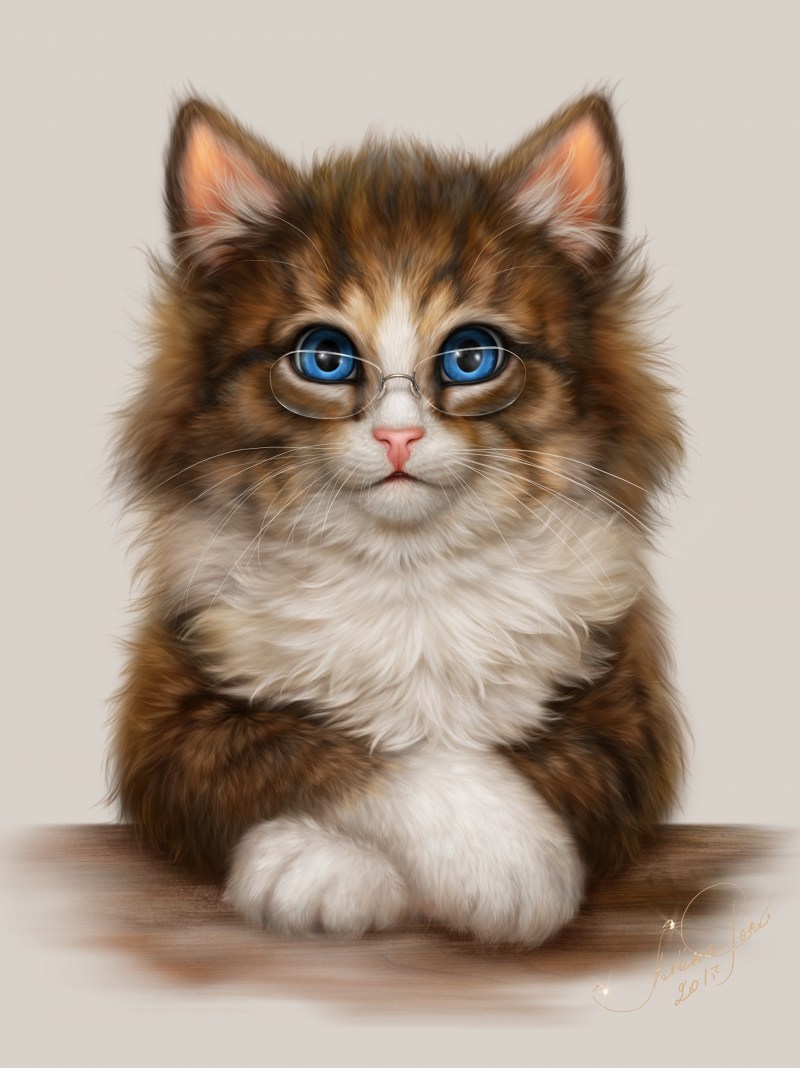 Нарисовать котика