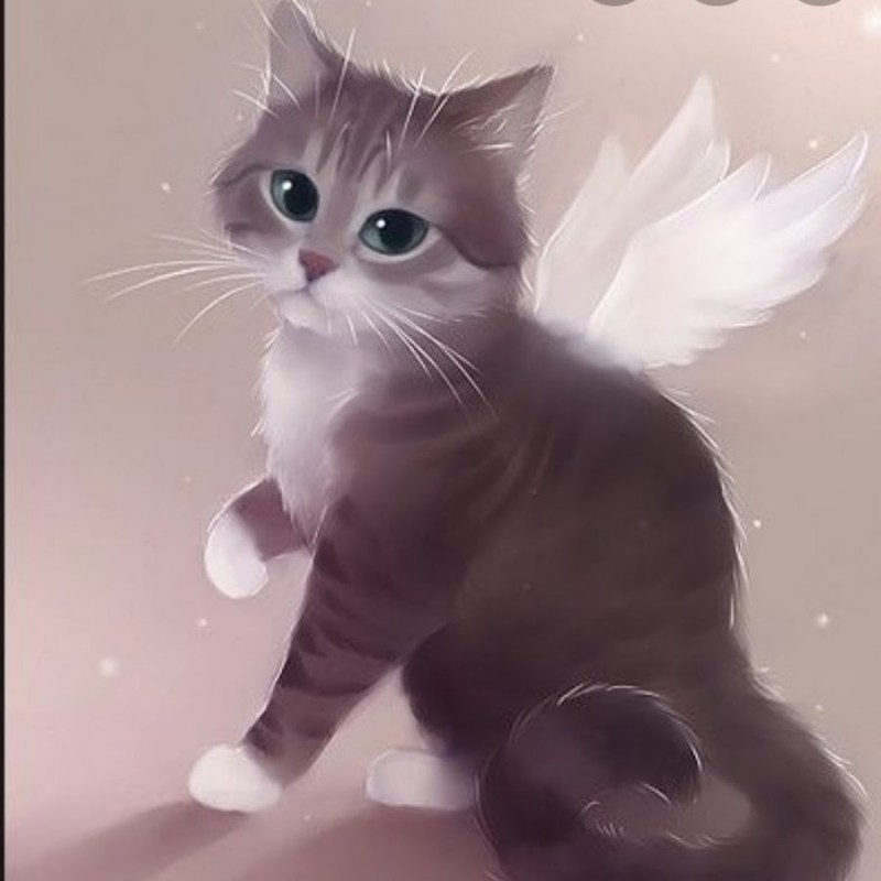 Рихард Донскис