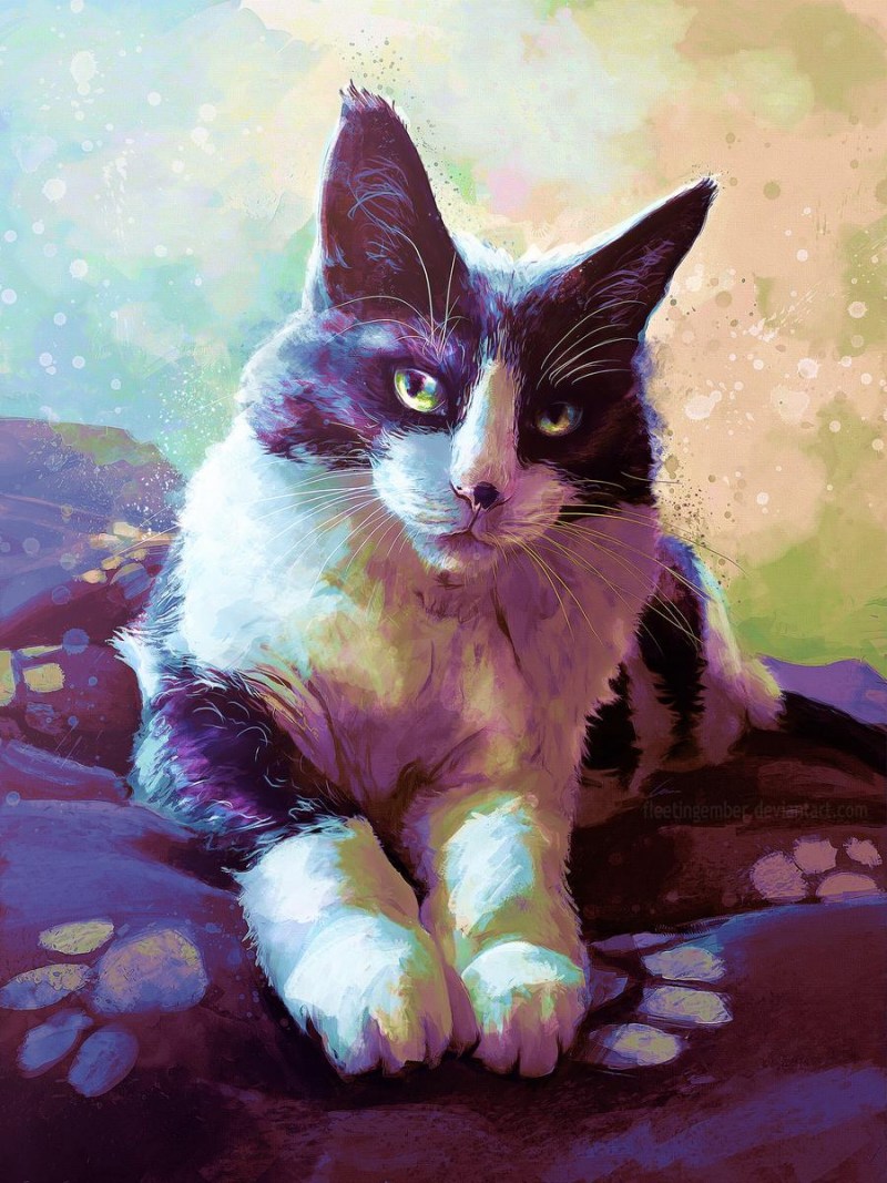 Арты котов