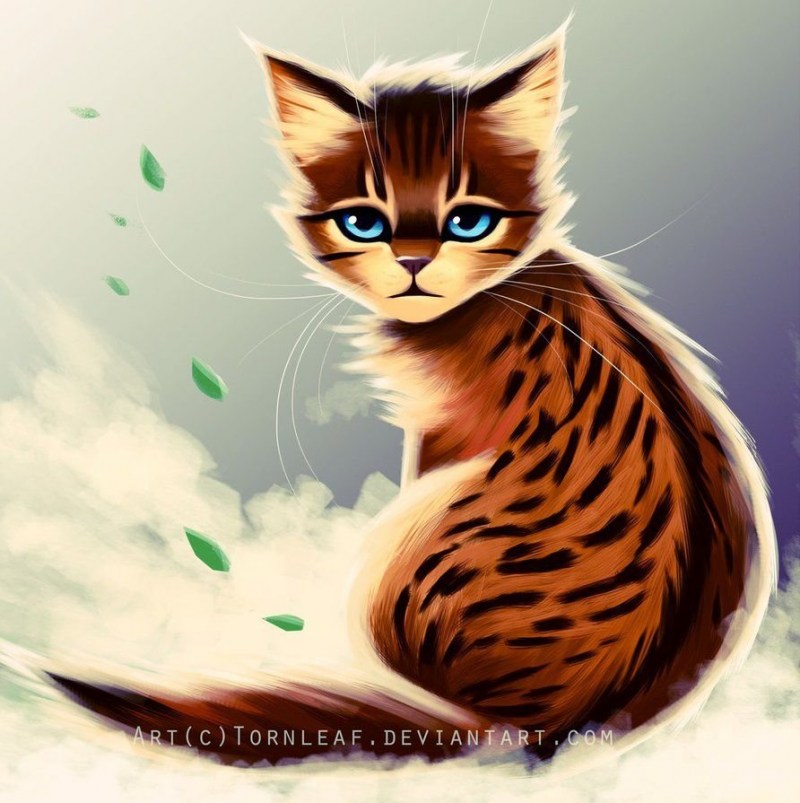 Коты Воители рыжий котёнок арт