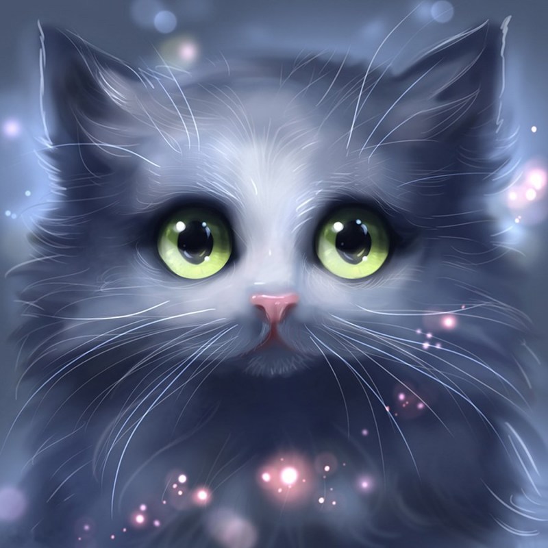 Котики на аватарку