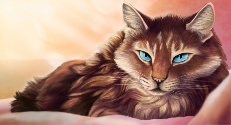 Кошка арт