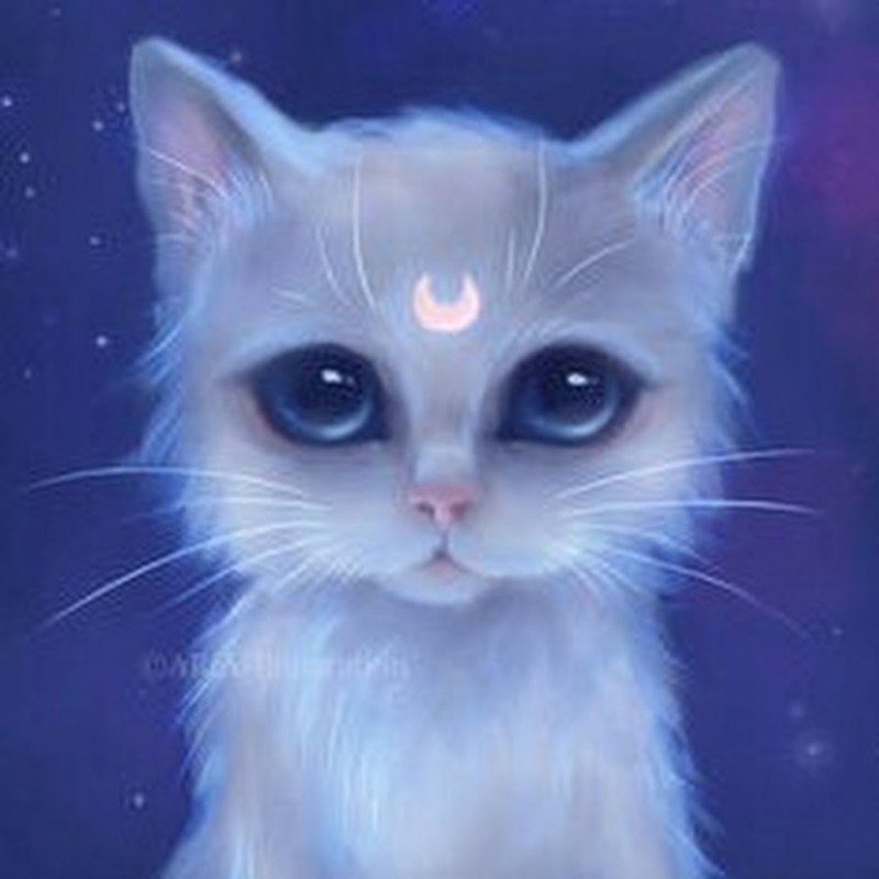 Кошки арты