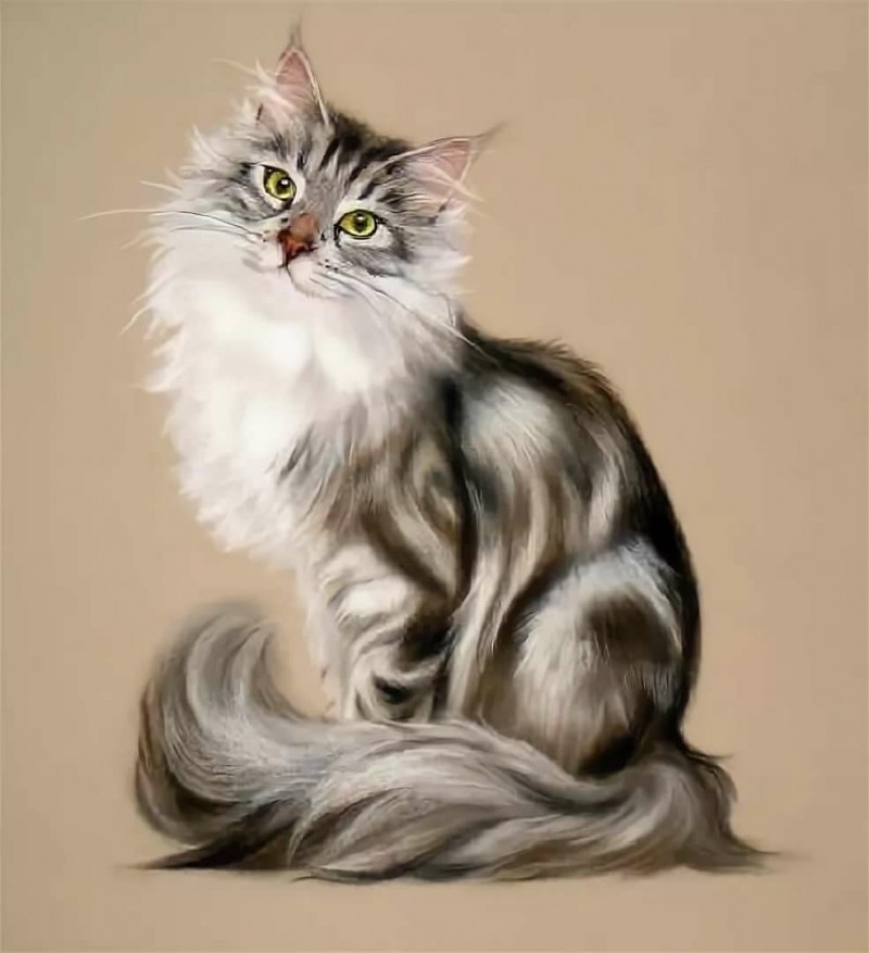Stephanie Manchipp художник