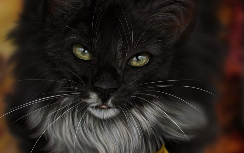 Кот арт