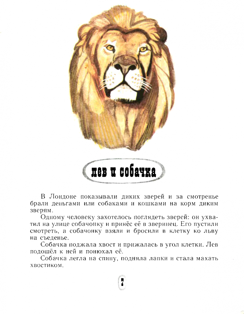Лев Николаевич толстой Лев и собака рассказ
