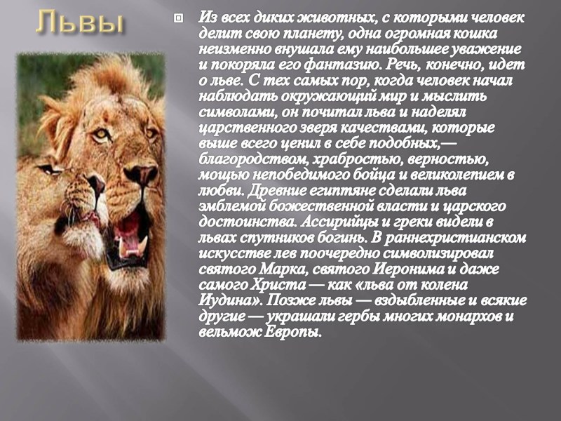 Доклад на тему животные