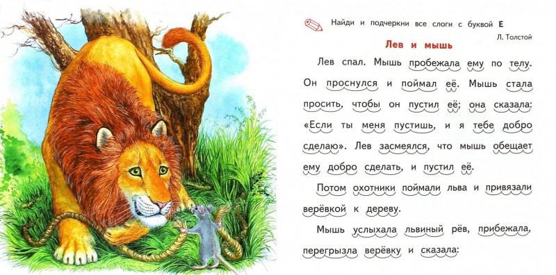 Текст для чтения белка