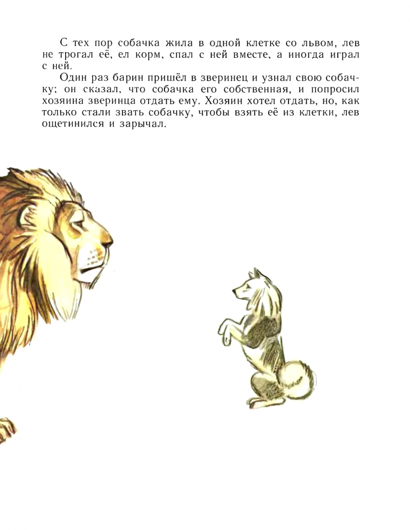 Книга Льва Толстого Лев и собачка