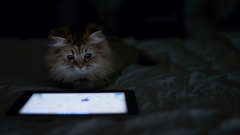 Кротик и телефон