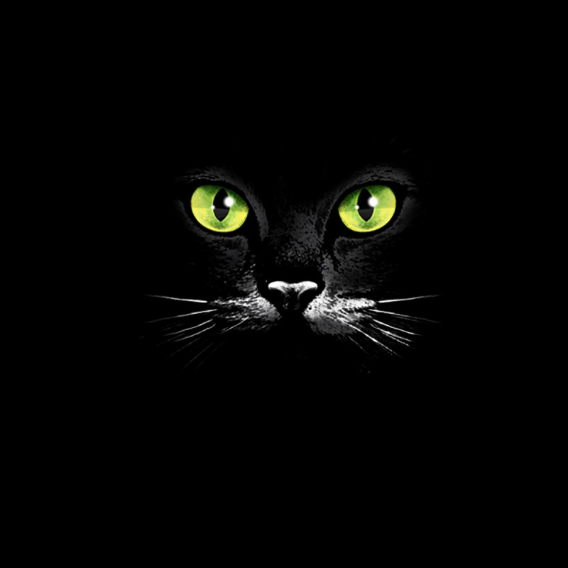 Кошачьи глаза в темноте