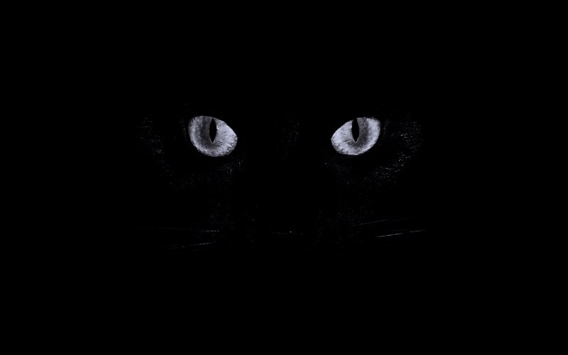 Кошачьи глаза из Темноты