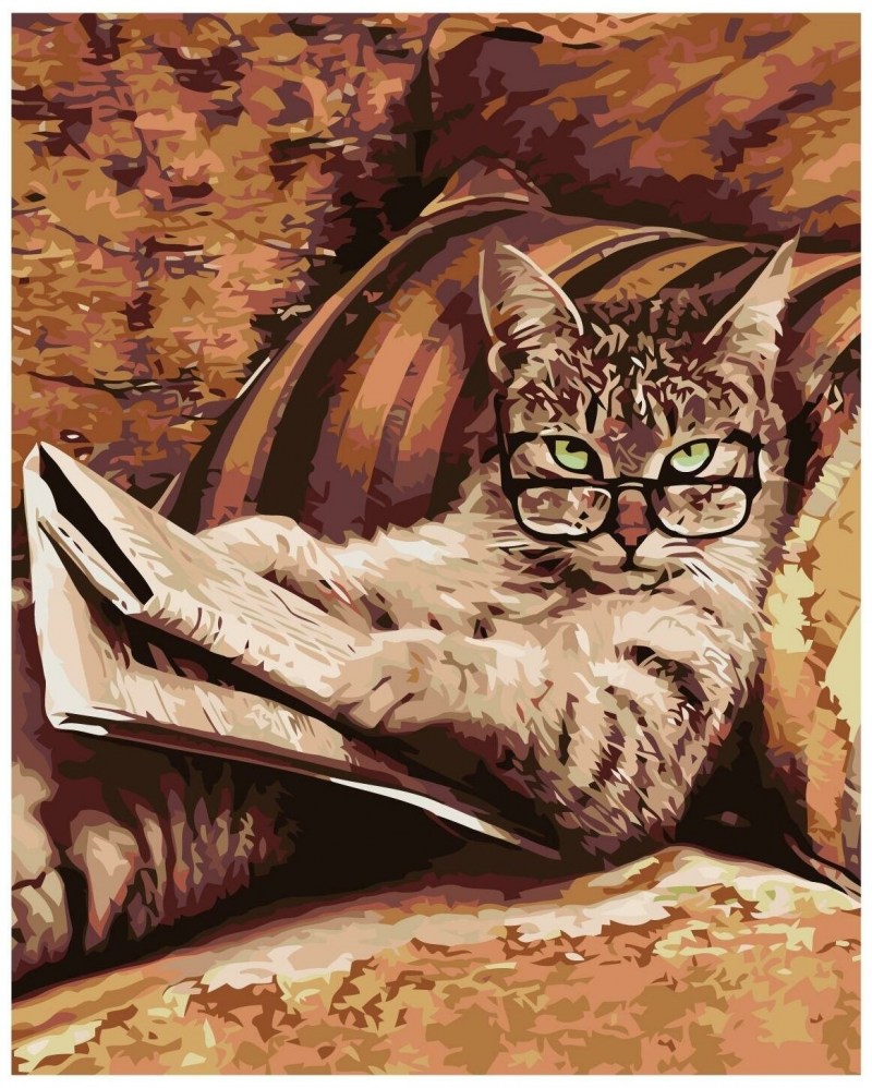 Кот в очках