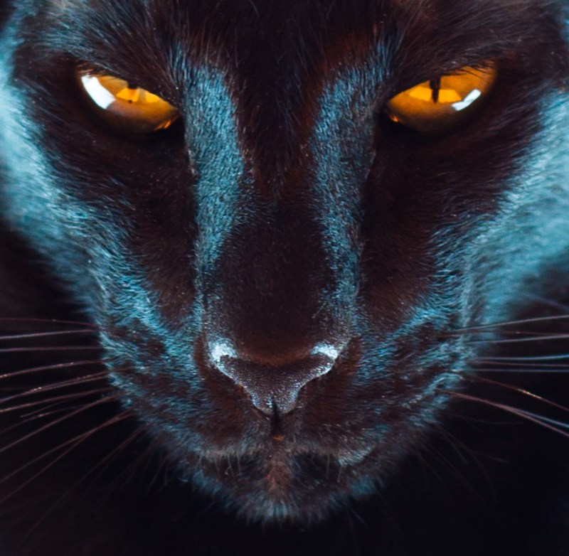 Кошачий глаз