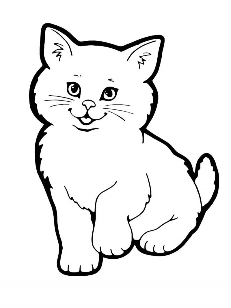 Рисунок кот раскраска