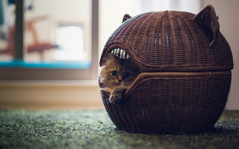 Домик для кота