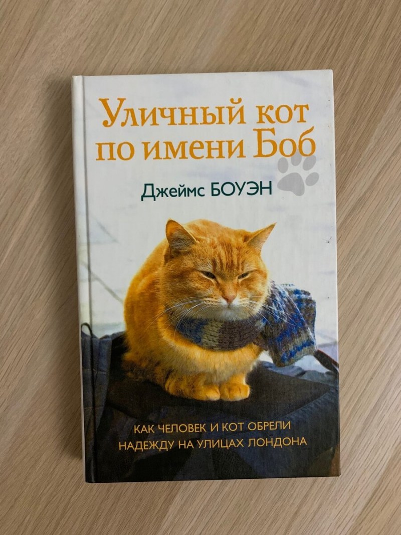 Кошачьи истории